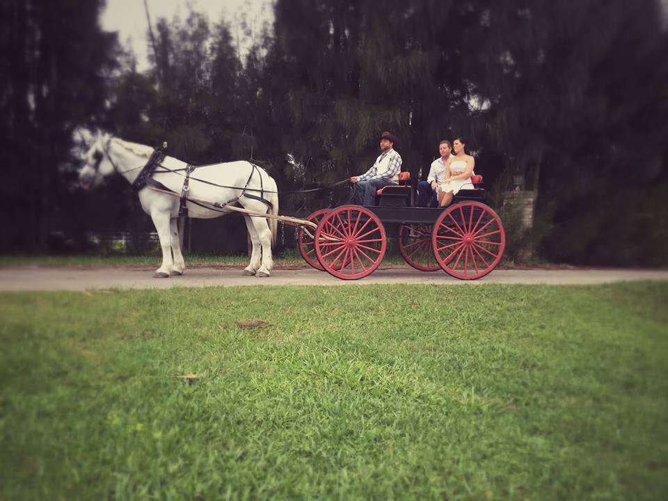 Riverside Carriage Company | 1393 Martin Rd, Rockledge, FL 32955, USA | Phone: (321) 917-8752