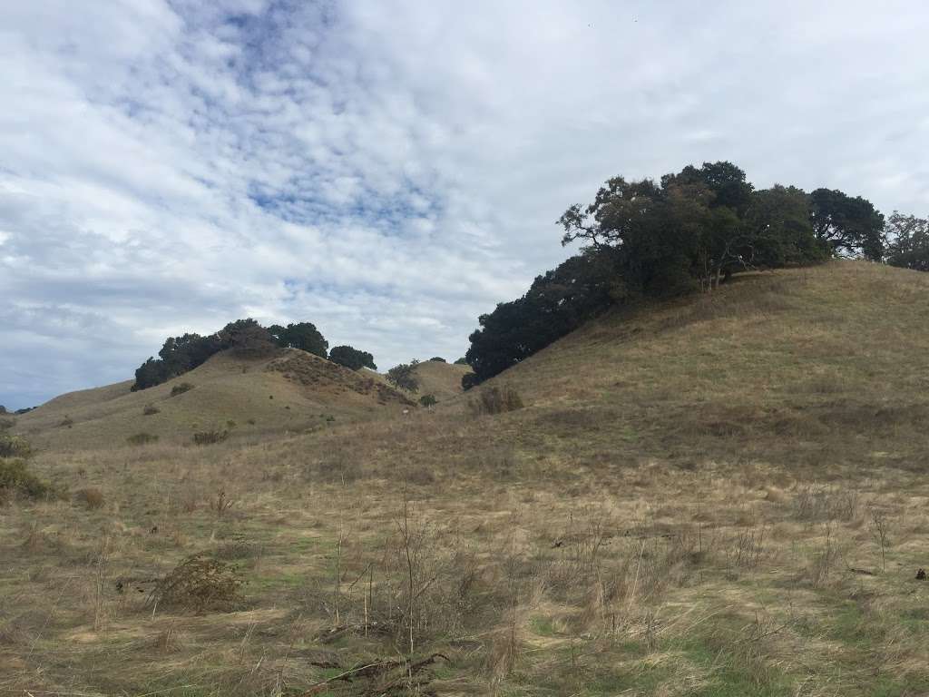 Briones Overlook staging area | Orinda, CA 94563, USA