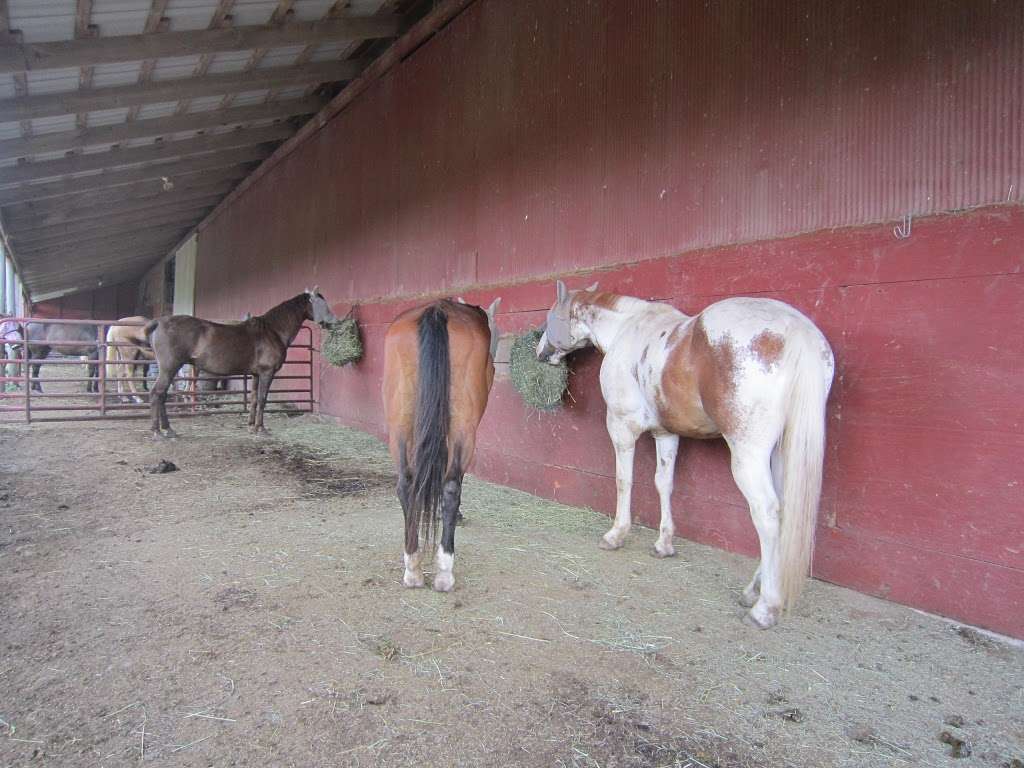 Triple L Ranch LLC | 1975 Krammes Rd, Quakertown, PA 18951, USA | Phone: (267) 227-6377