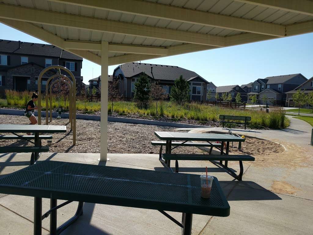 Colliers Hill - Rock Park | 649 Dawn Ave, Erie, CO 80516, USA