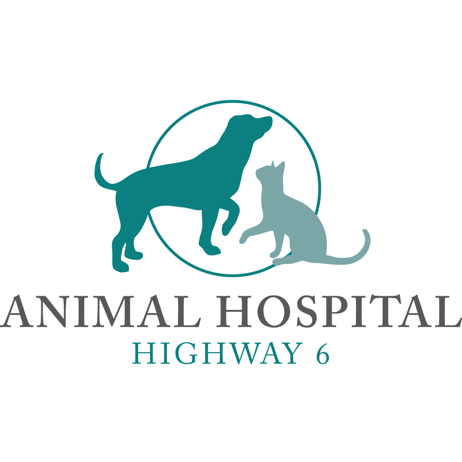 Animal Hospital Highway 6, 3429 Hwy 6, Sugar Land, TX ...