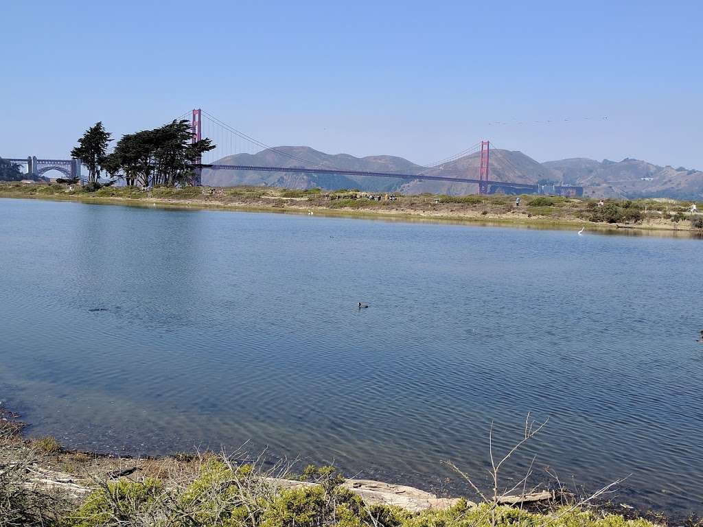 Crissy Field Marsh | Golden Gate Promenade, San Francisco, CA 94129, USA | Phone: (415) 561-4323