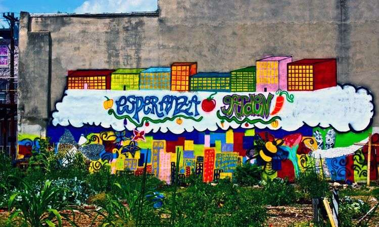 Esperanza Community Garden | 835 N 6th St, Camden, NJ 08102, USA | Phone: (856) 365-4673