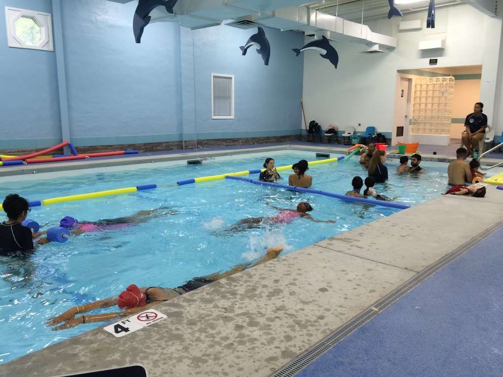 The Little Dolphin Swim Academy | 424 Vosseller Ave, Bound Brook, NJ 08805, USA | Phone: (732) 560-8000