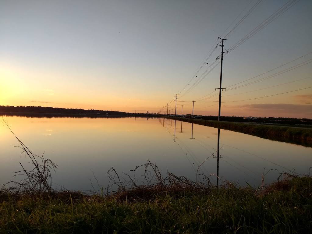 Hornsby Bend Bird Observatory | 2210 S FM 973, Austin, TX 78725, USA | Phone: (512) 972-1960