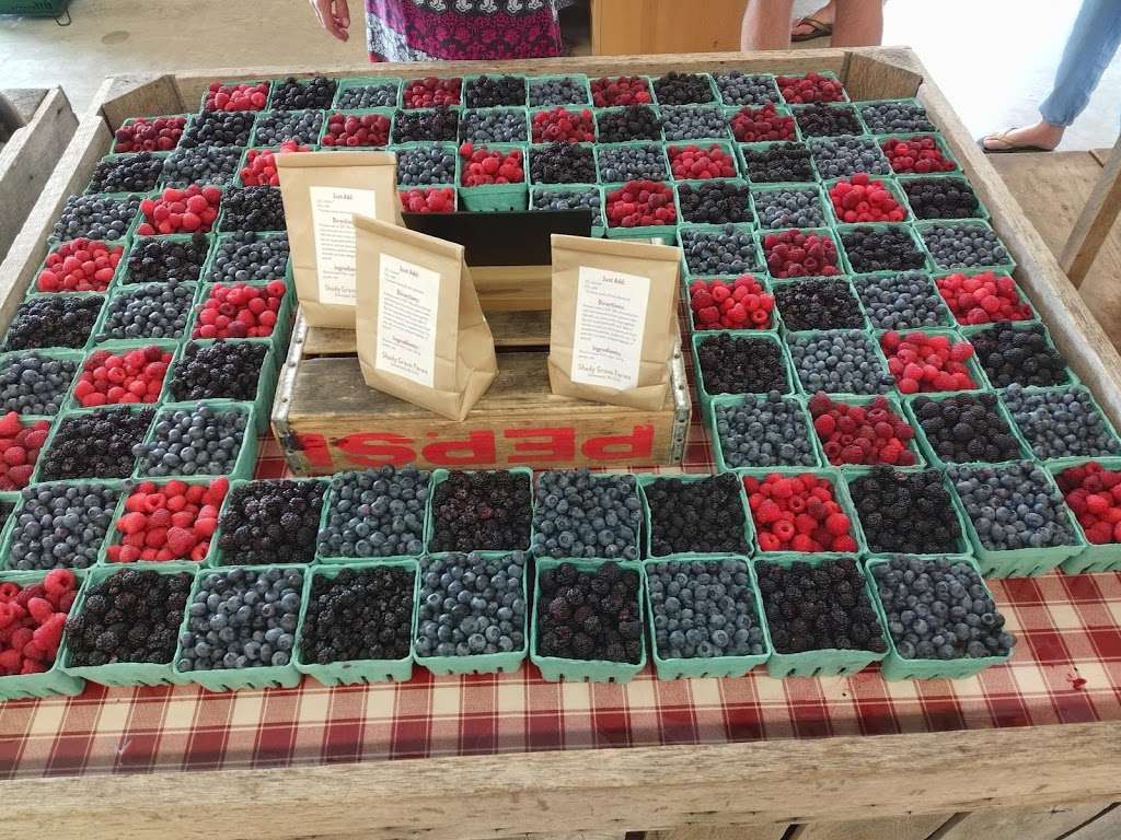 Shady Grove Farms | 3054 Buchanan Trail E, Greencastle, PA 17225, USA