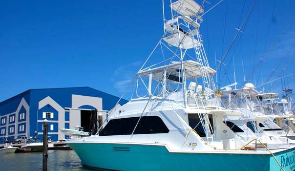 Paparda Rey Fishing Charters | 715 N Holiday Dr, Galveston, TX 77550, USA | Phone: (713) 295-0208