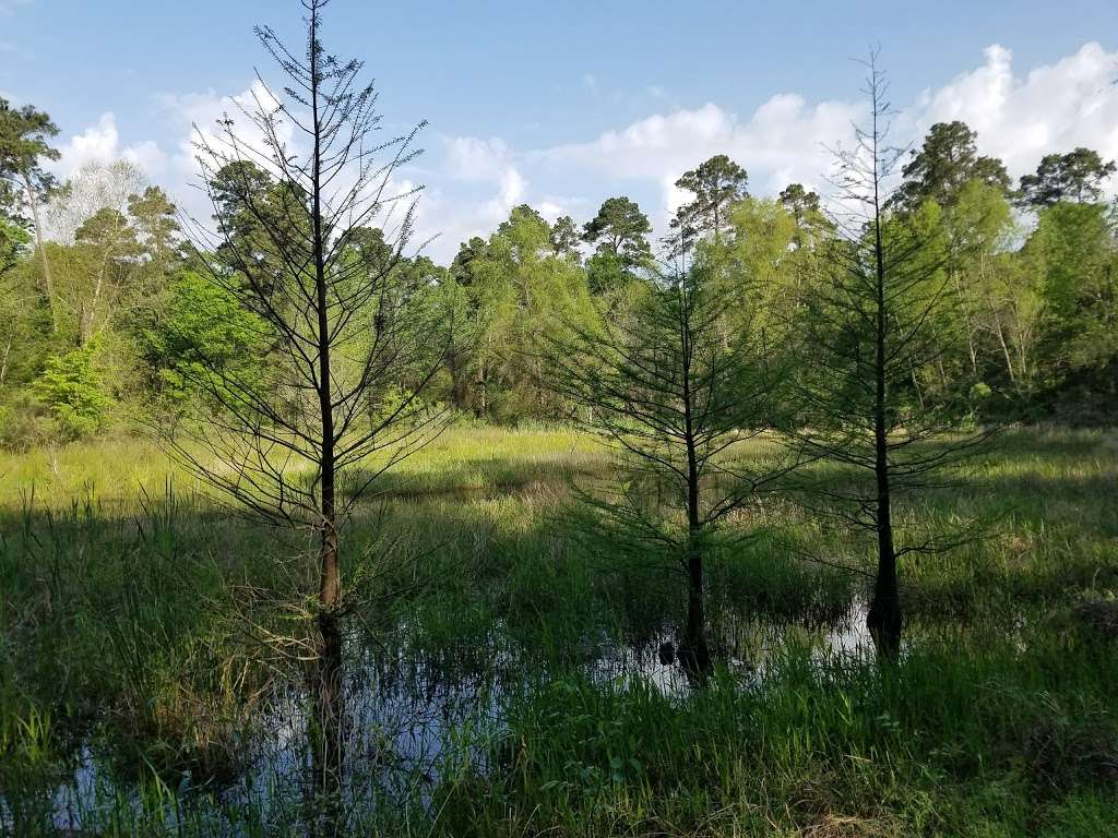 Montgomery County Preserve | 1118 Pruitt Rd, The Woodlands, TX 77380, USA | Phone: (281) 576-1634