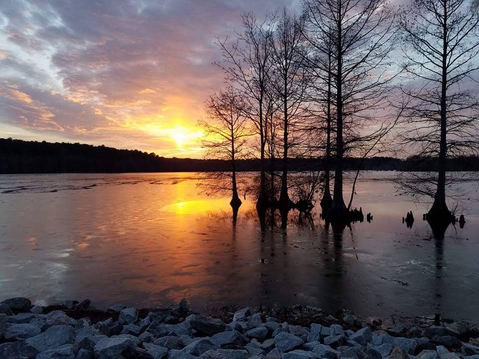 Stumpy Lake Natural Area | 4797 Indian River Rd, Virginia Beach, VA 23456, USA | Phone: (757) 385-1100