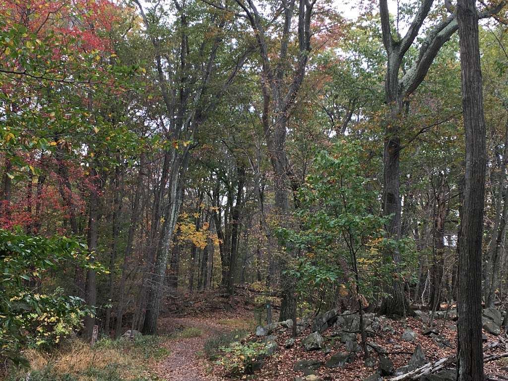 South mountain park | Co Rd 33, New City, NY 10956, USA