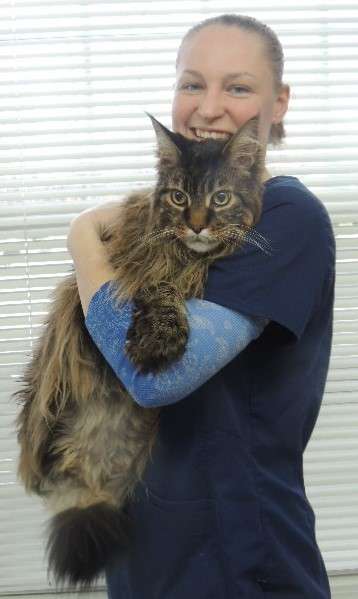 Edgefield Veterinary Hospital, LLC | 1 Gigante Dr, Hampstead, NH 03841, USA | Phone: (603) 329-6553