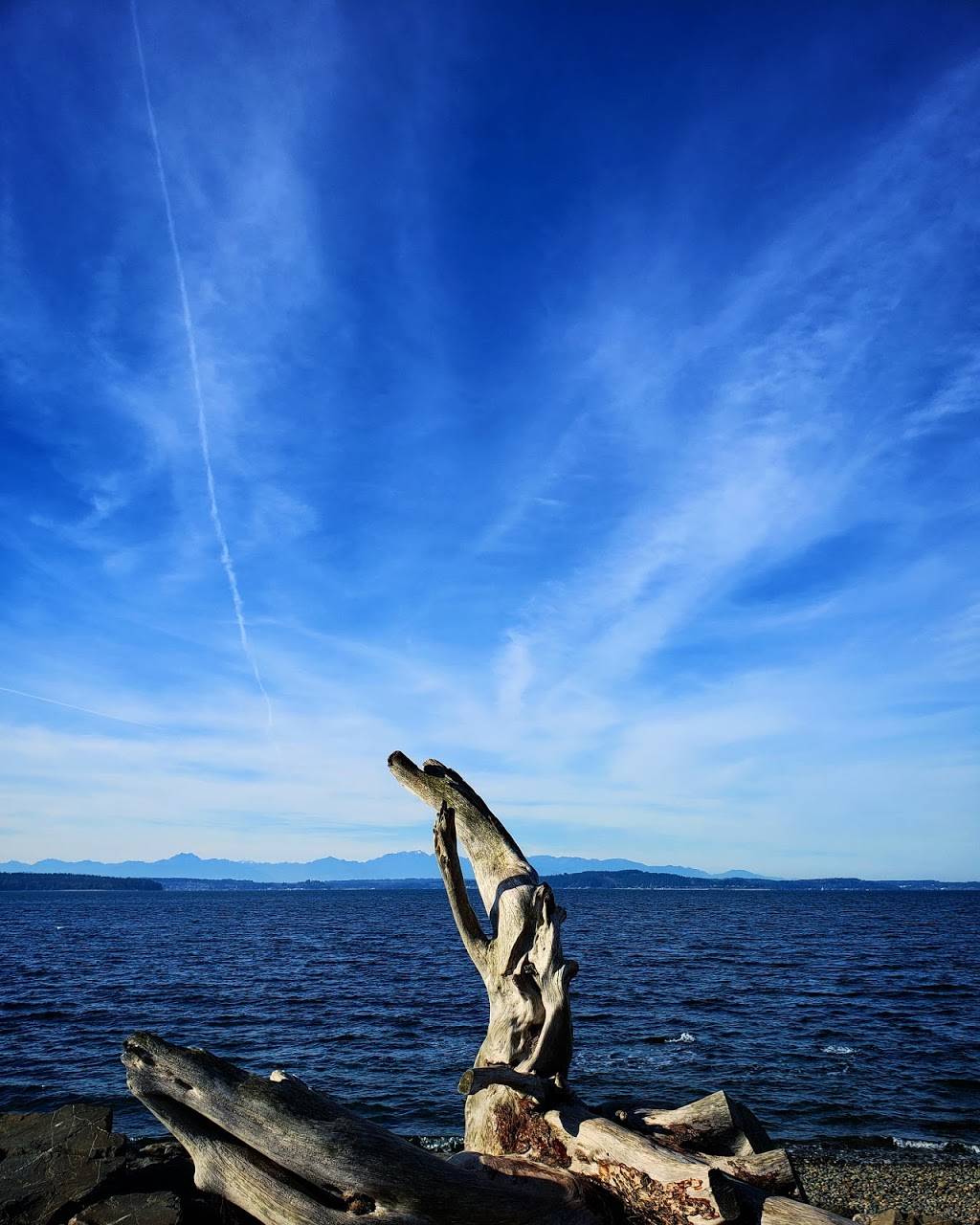 Driftwood Sculpture Walk, Lincoln Park, West Seattle | 7398 Beach Dr SW, Seattle, WA 98136, USA | Phone: (206) 452-3991