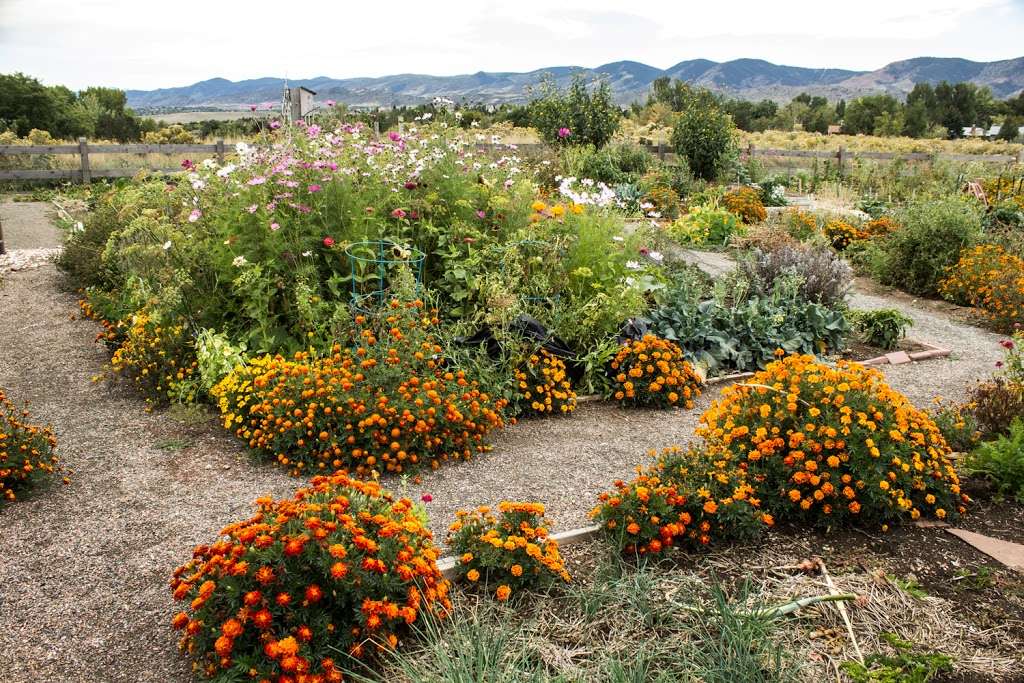 Ute Trail Garden | 13600 W Jewell Ave, Lakewood, CO 80228, USA | Phone: (303) 987-7000