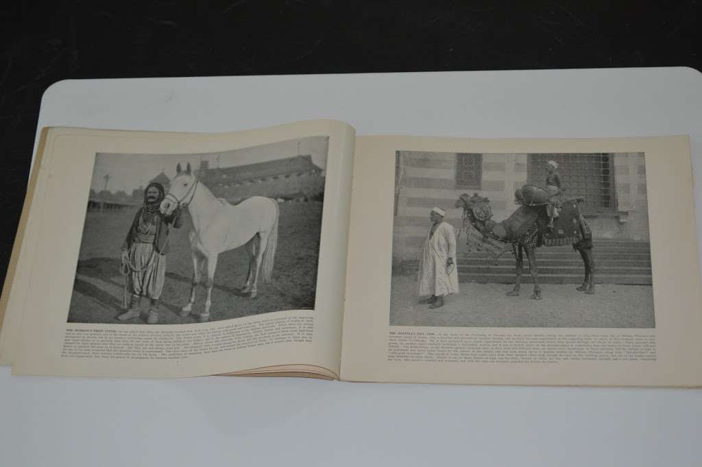 Vintage Junk-N-Treasure | 3120 E 1961st Rd, Ottawa, IL 61350, USA | Phone: (815) 313-9326