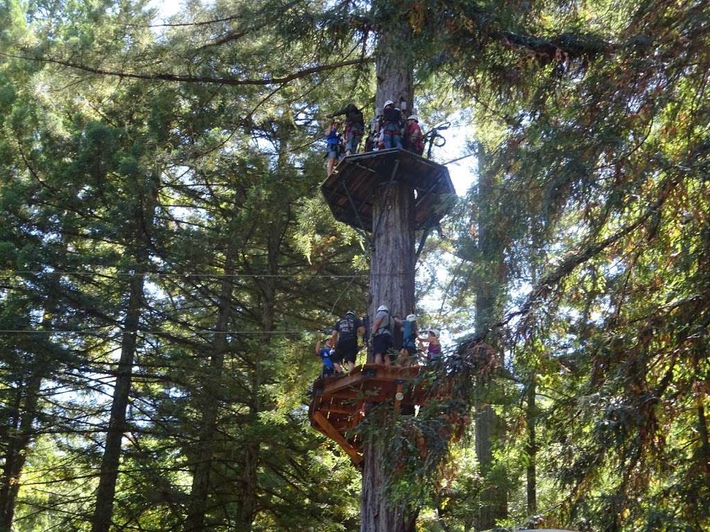 Sonoma Canopy Tours | 6250 Bohemian Hwy, Occidental, CA 95465, USA | Phone: (888) 494-7868