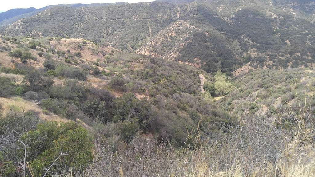 Upper Canyonback Trailhead | 17024 Mulholland Dr, Encino, CA 91436, USA | Phone: (310) 480-8617