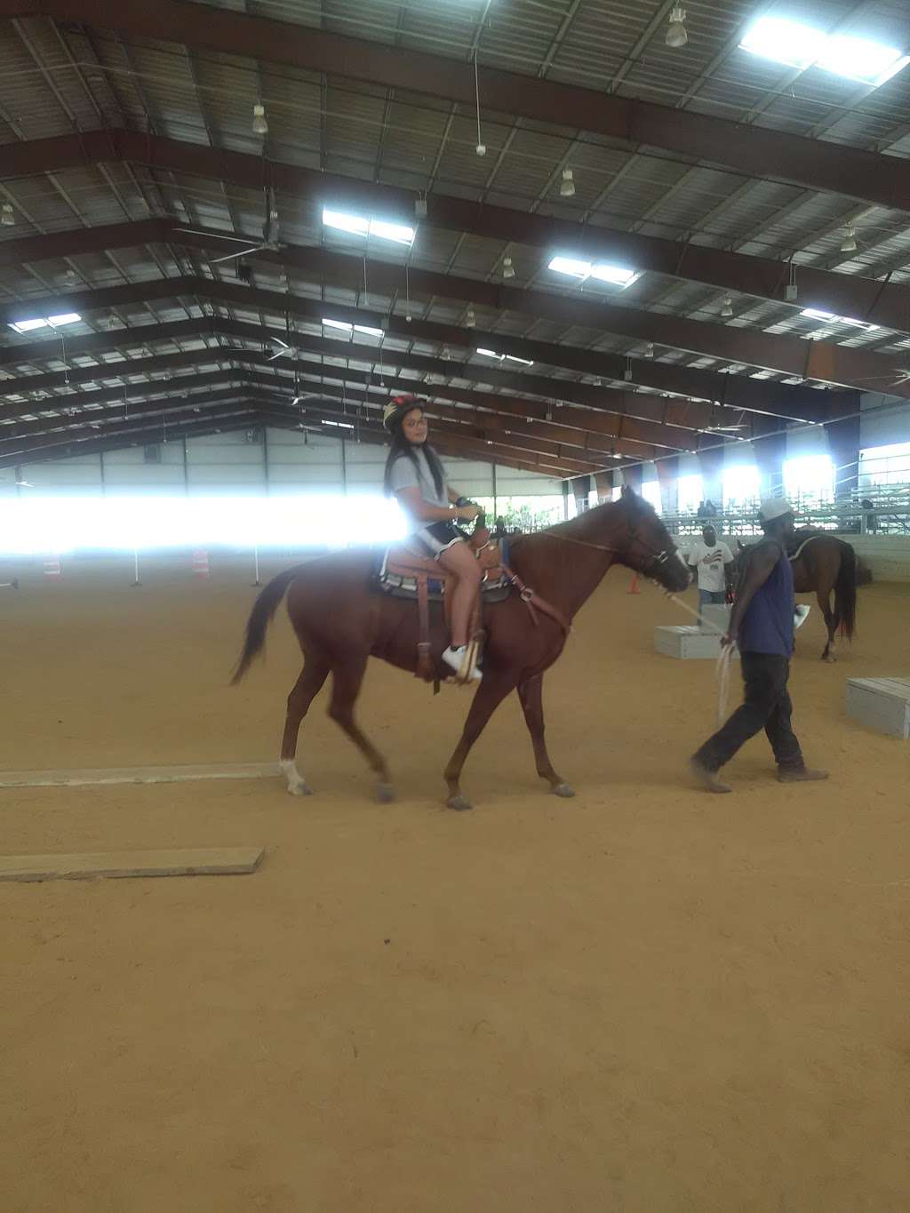 Equest Therapeutic Horsemanship | 811 Pemberton Hill Rd Building 4, Dallas, TX 75217, USA | Phone: (972) 412-1099