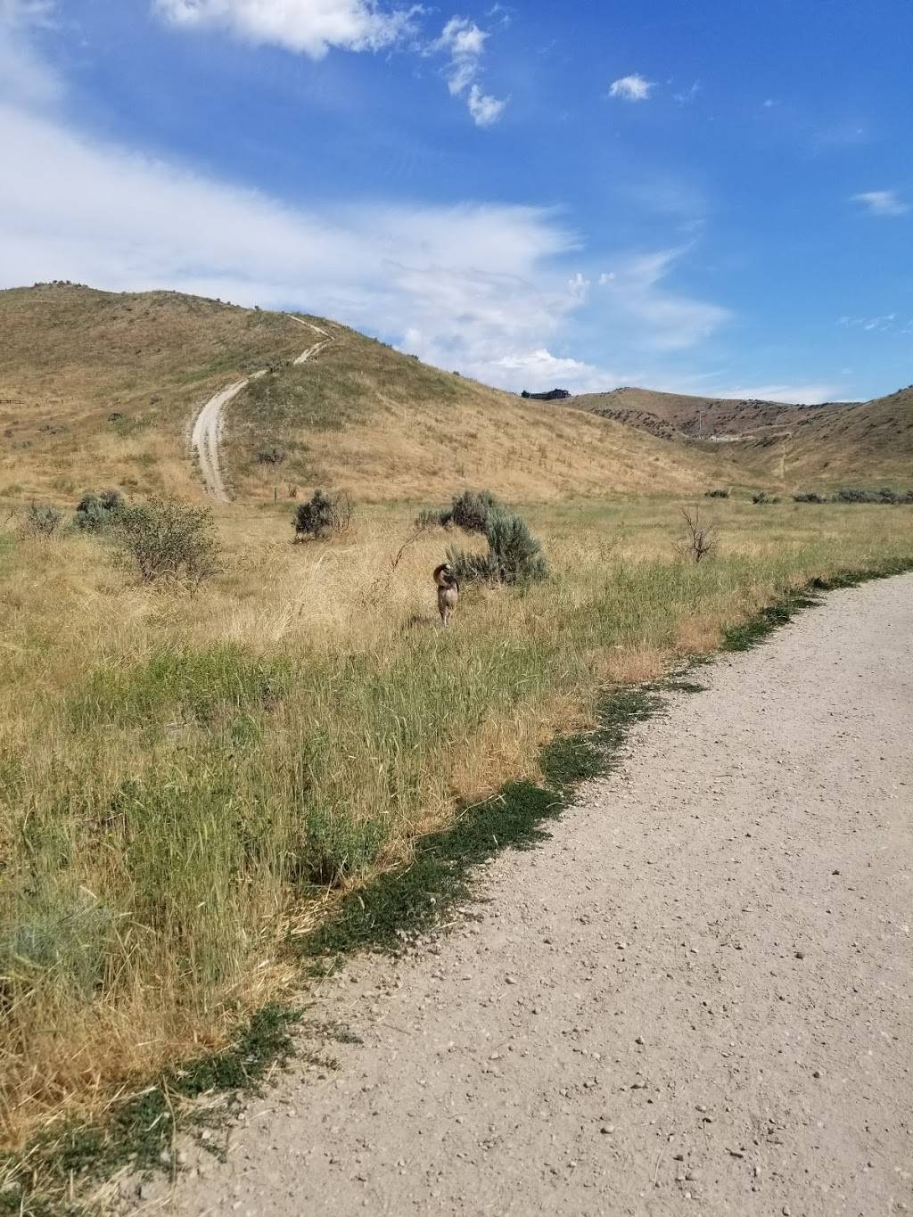 Harrison Hollow Trailhead and Parking | 2899 N Harrison Hollow Ln, Boise, ID 83703, USA | Phone: (208) 493-2531 Harrison Hollow Trailhead and Parking | 2899 N Harrison Hollow Ln, Boise, ID 83703, USA | Phone: (208) 493-2531