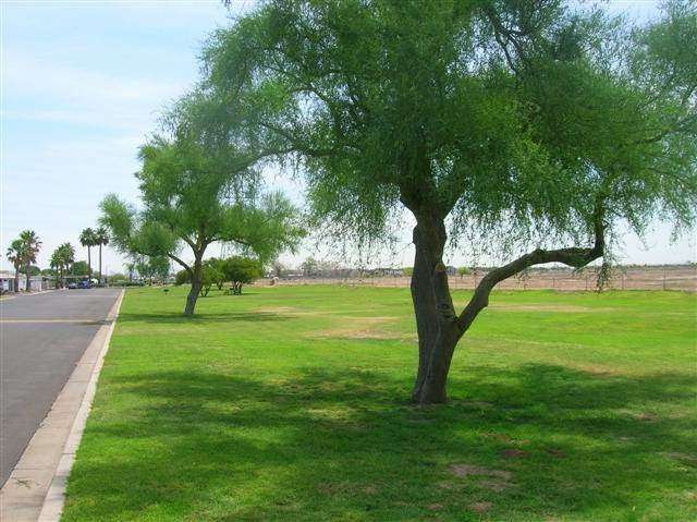 Sun Garden Manufactured Home Community | 8301 N 103rd Ave, Peoria, AZ 85345, USA | Phone: (623) 974-4771