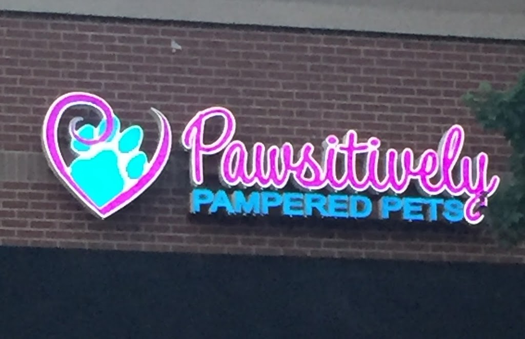 Pawsitively Pampered Pets | 14229 Reese Blvd, Huntersville, NC 28078 | Phone: (704) 677-5959