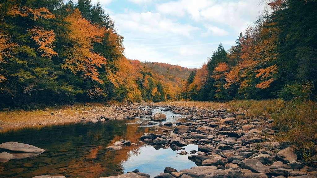 Loyalsock State Forest | 6735 US-220, Dushore, PA 18614, USA | Phone: (570) 946-4049