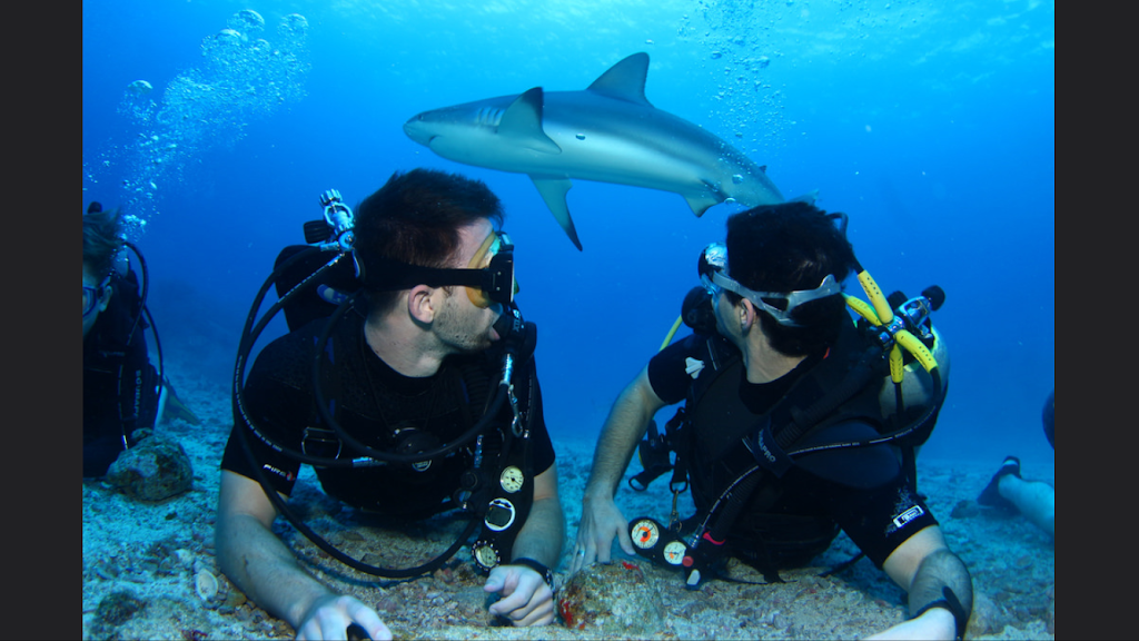 Seths Scuba School | 1341 S Pine Lake Rd, Montgomery, TX 77316, USA | Phone: (936) 537-1473