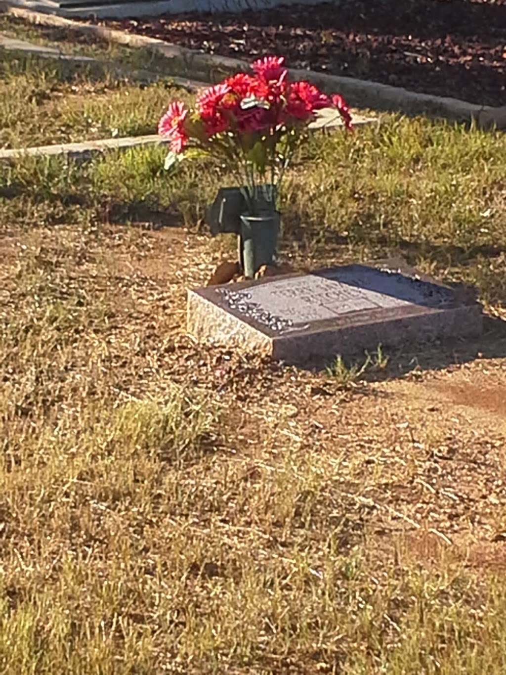 Bexar Cemetery | Somerset, TX 78069