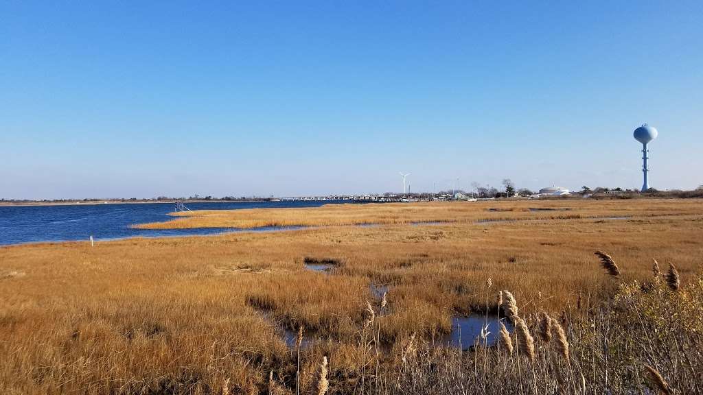 Lido Beach Passive Nature Area | 1051-1137 Lido Blvd, Lido Beach, NY 11561, USA