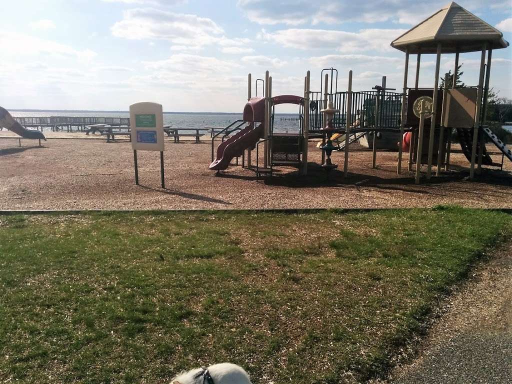 Harvey Cedars Recreation | 1 W Salem Ave, Harvey Cedars, NJ 08008, USA | Phone: (609) 361-6000