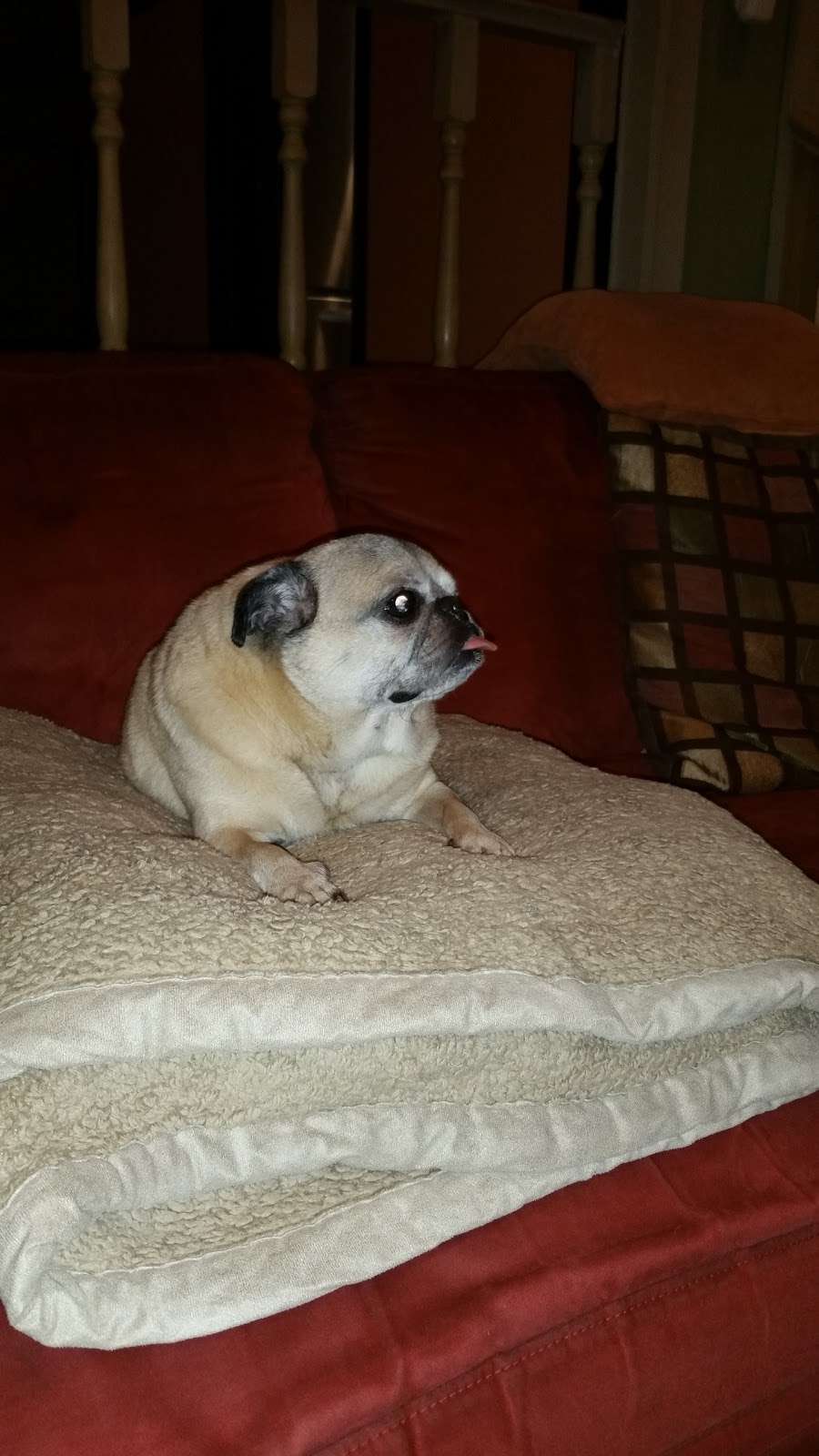 Clean Rooter and Plumbing | 2305 Cherrystone Dr, San Jose, CA 95128, USA | Phone: (408) 802-9623