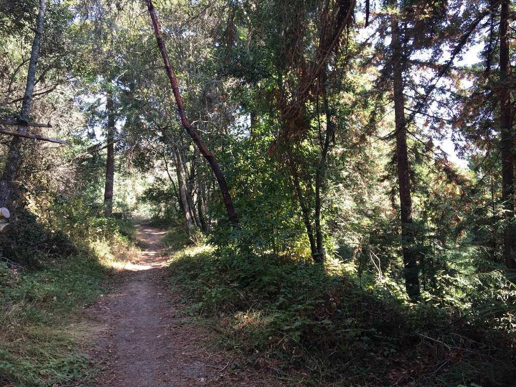 Charmichael Trailhead | Aptos, CA 95003