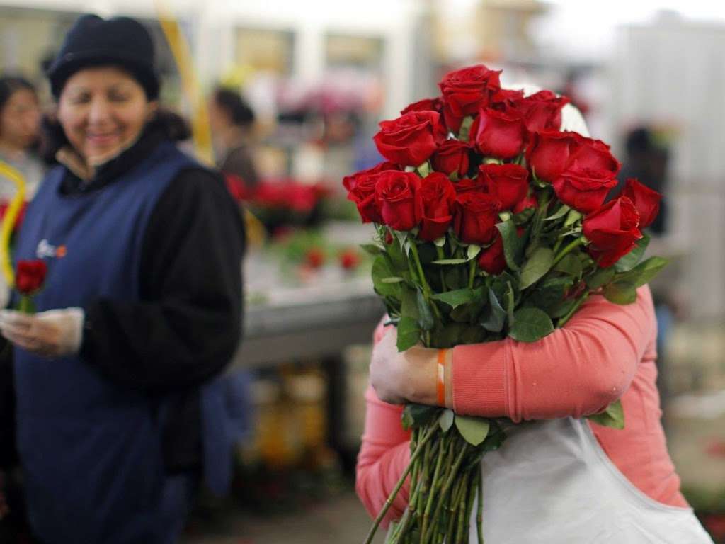 Secondhand Rose Florals | 2216 Snetterton Ln, Upper Marlboro, MD 20774 | Phone: (240) 245-7645