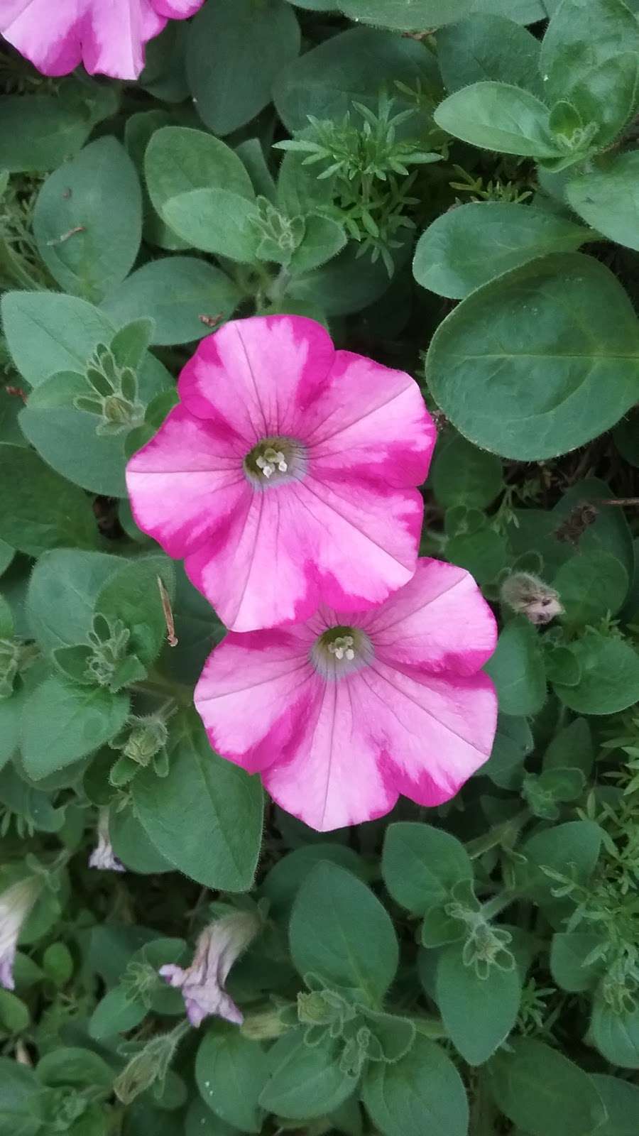 Books & Beyond Online | 6 Blakeslee Dr, Newtown, CT 06470, USA | Phone: (203) 364-1679 Books & Beyond Online | 6 Blakeslee Dr, Newtown, CT 06470, USA | Phone: (203) 364-1679