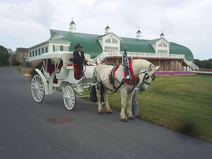 Keystone Classic Carriages | 13752 Shimpstown Rd, Mercersburg, PA 17236 | Phone: (717) 658-9451