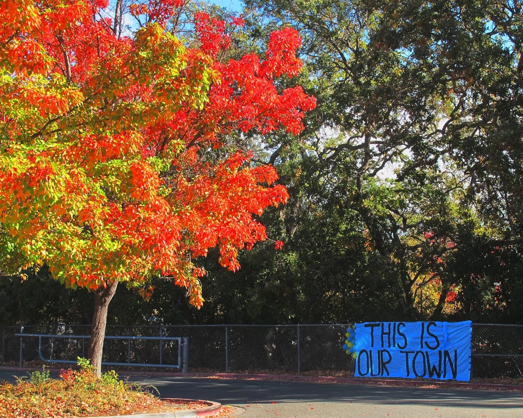 Foothill High School | 4375 Foothill Rd, Pleasanton, CA 94588, USA | Phone: (925) 461-6600