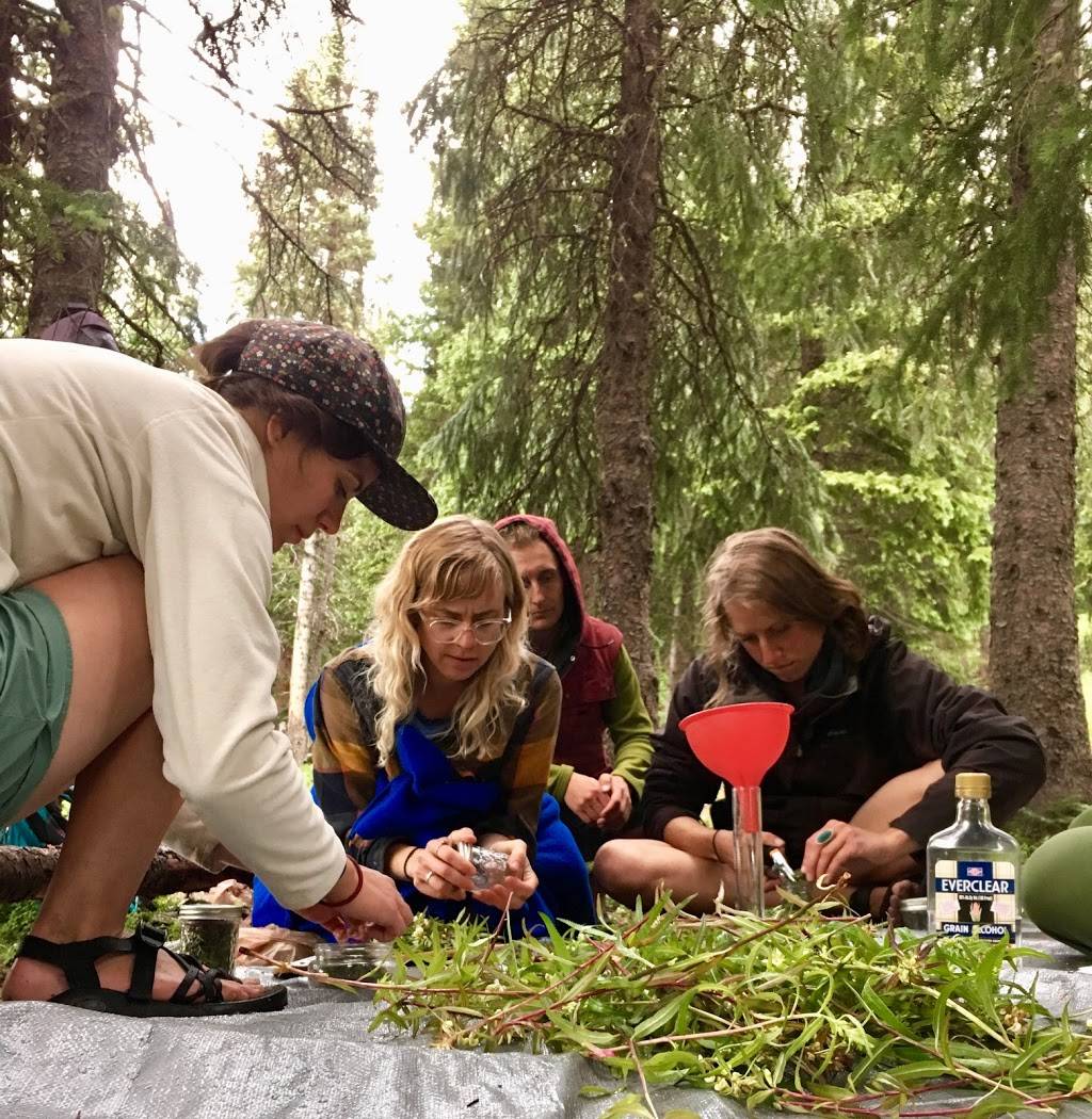 Mountain Herbalism | 6650 W 44th Ave, Denver, CO 80033, USA | Phone: (530) 304-1626