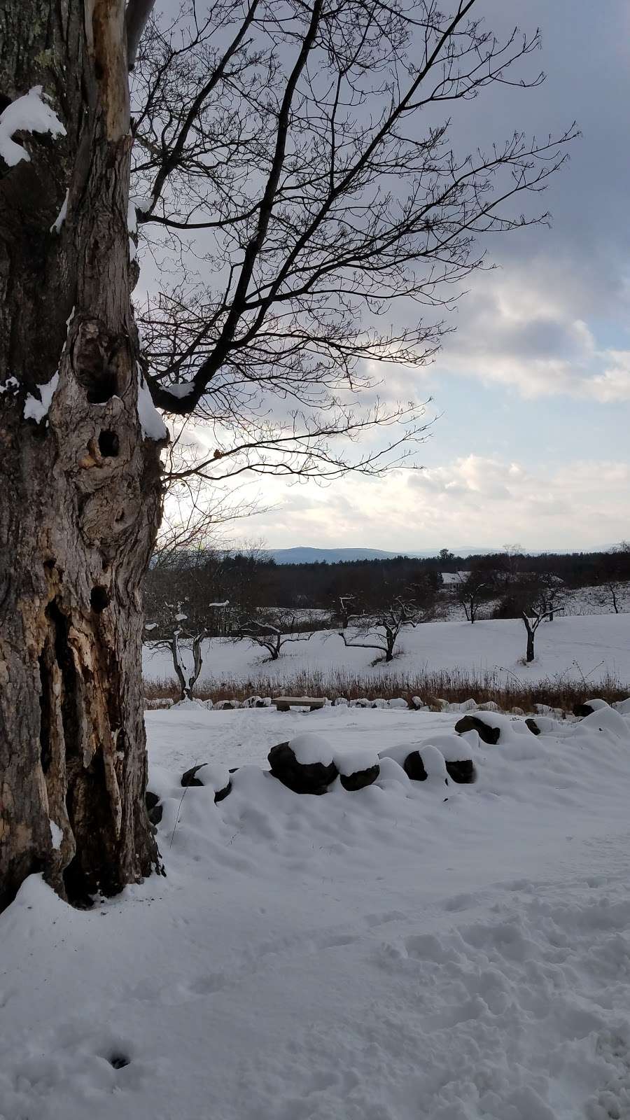 Lindabury Orchard | 70-72 Christian Hill Rd, Amherst, NH 03031, USA