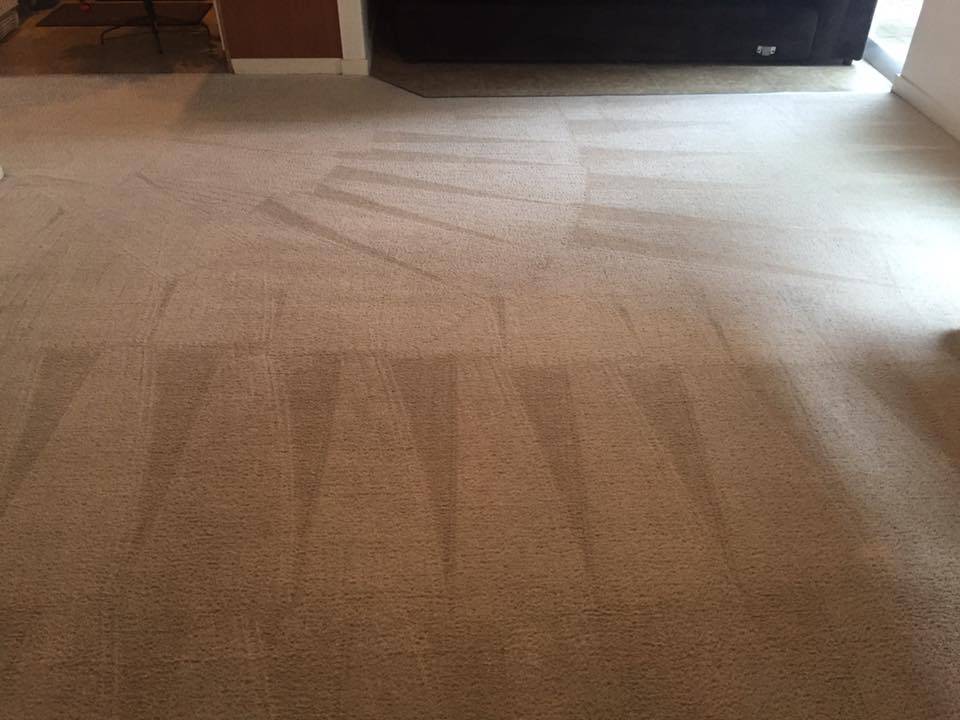 Candidos Carpet Cleaning | 10700 NE 14th St, Vancouver, WA 98664 | Phone: (503) 381-7840