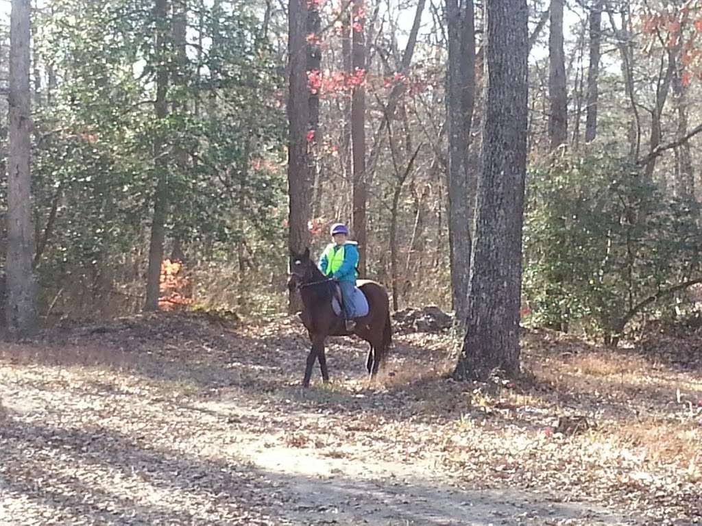 Saddle Up Stables | 4528 Saddle Up Cir, Bridgeville, DE 19933, USA | Phone: (302) 228-7859