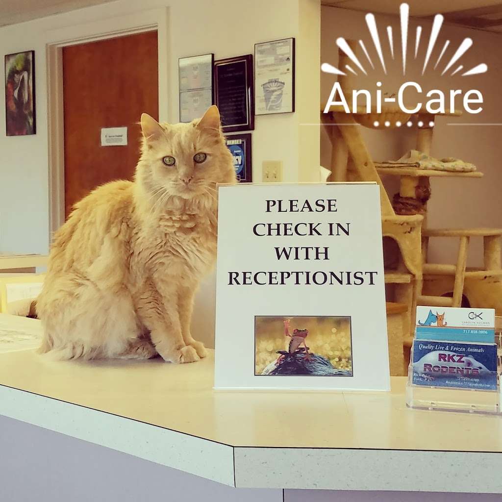 Ani-Care Animal Hospital | 2740 S Queen St, Dallastown, PA 17313, USA | Phone: (717) 741-1320