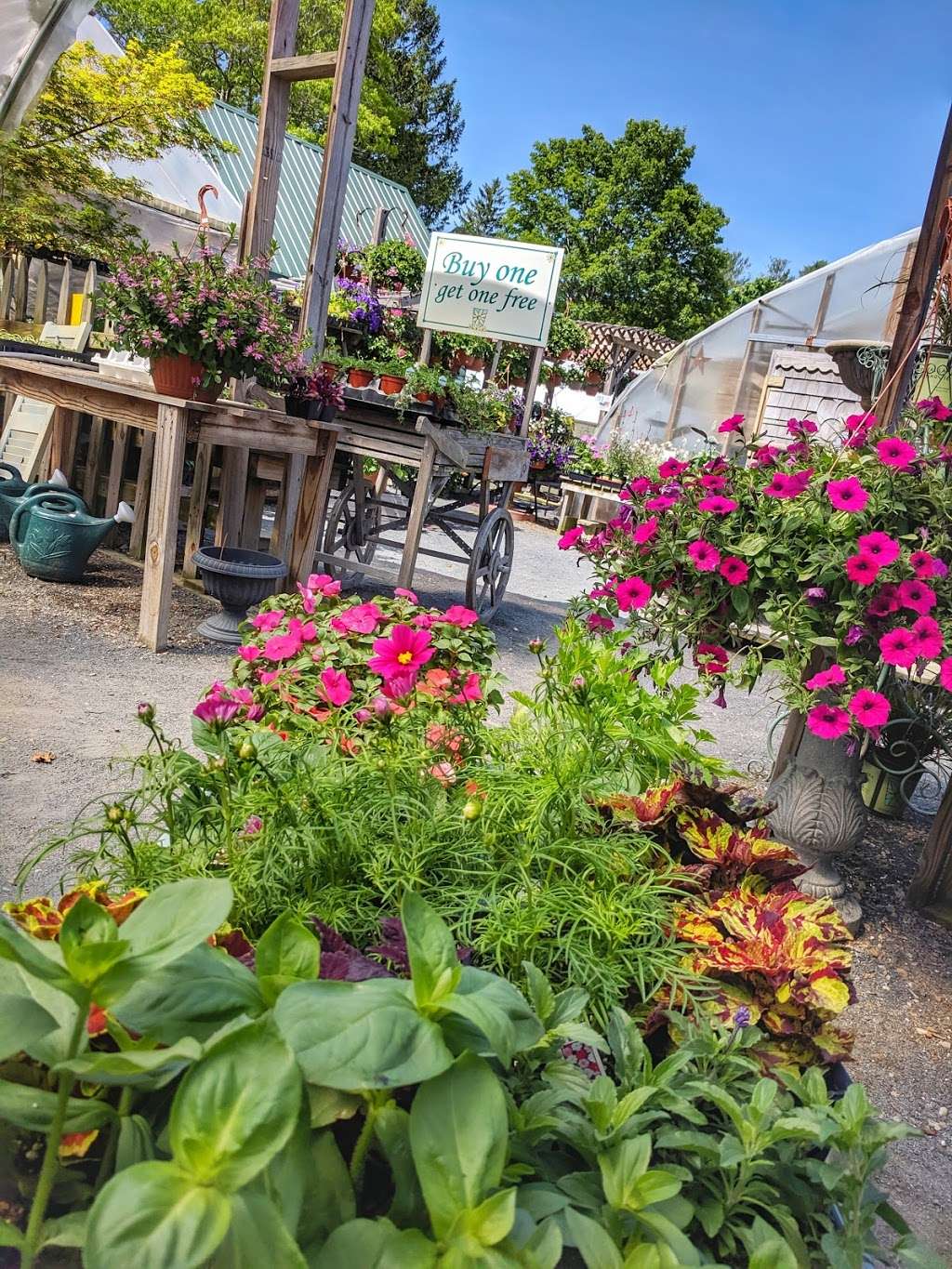 Crystal Lake Garden Shop | 19 West St, Carver, MA 02330 | Phone: (508) 866-2873