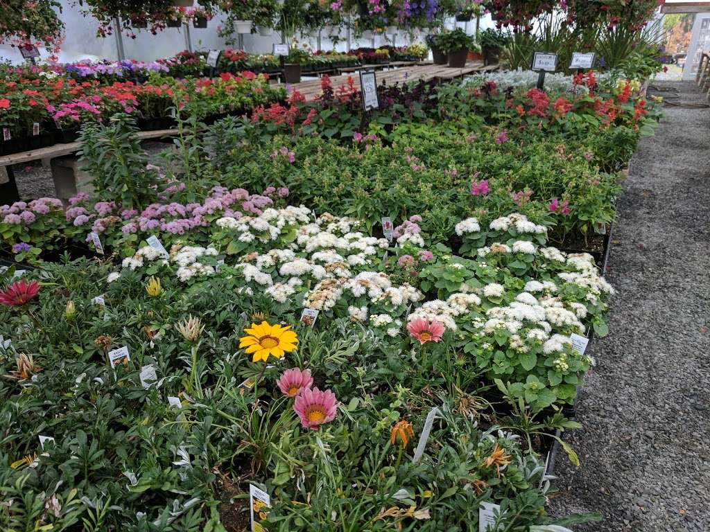 Berry Fresh Farms | 151 Brick Blvd, Brick, NJ 08723, USA | Phone: (732) 477-0606