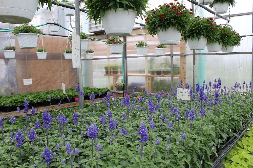 Serenity Ridge Greenhouse | 160 Bethany Rd, Ephrata, PA 17522, USA | Phone: (717) 859-6594