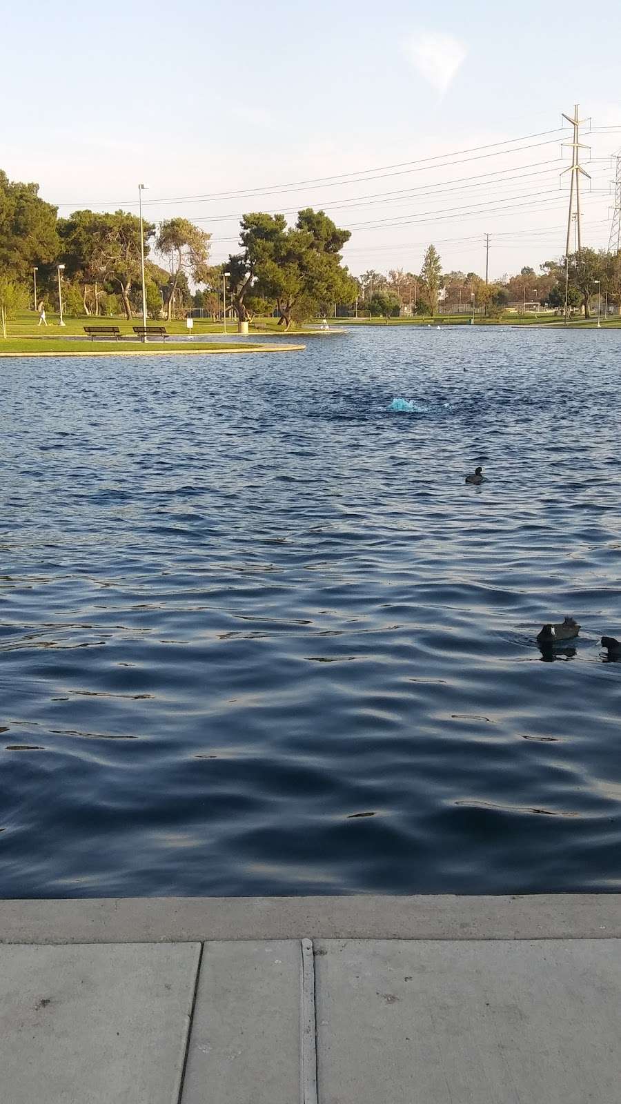 Regional Park | Cerritos, CA 90703, USA