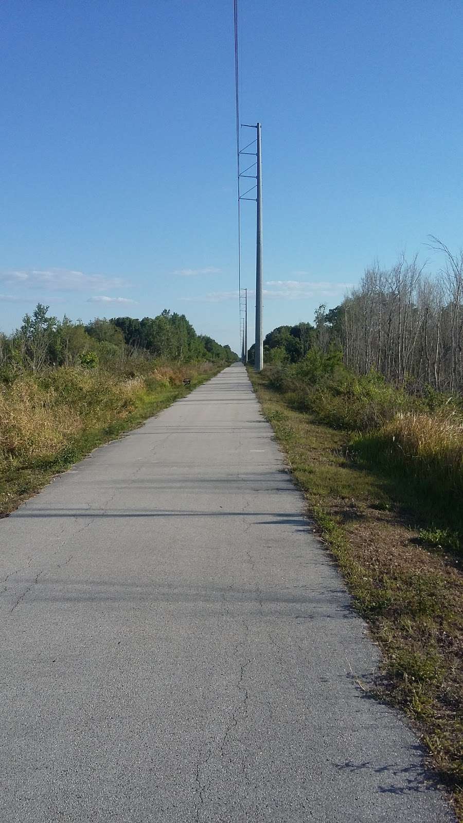 TECO AUBURNDALE TRAIL | Teco Auburndale Trail, Auburndale, FL 33823, USA