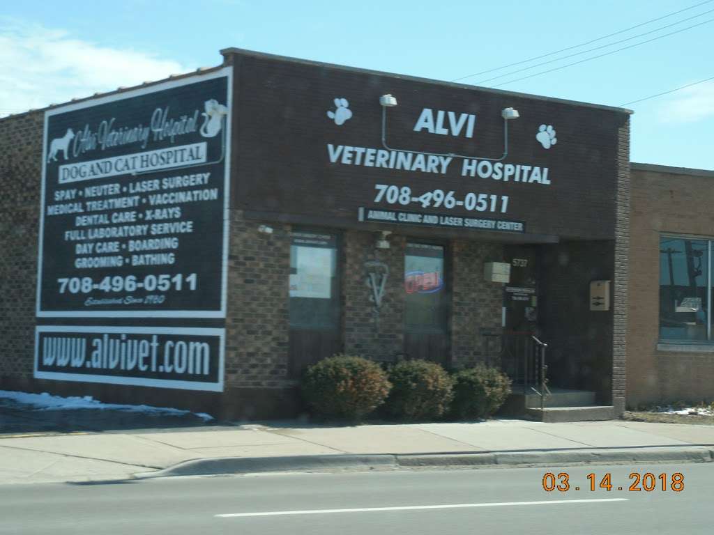 Alvi Animal Hospital | 5737 S Archer Rd, Summit, IL 60501, USA | Phone: (708) 496-0511