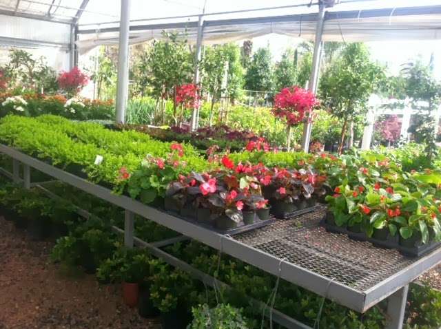 Garden Expo Inc | 1221 W 20th St, Houston, TX 77008 | Phone: (713) 861-5100