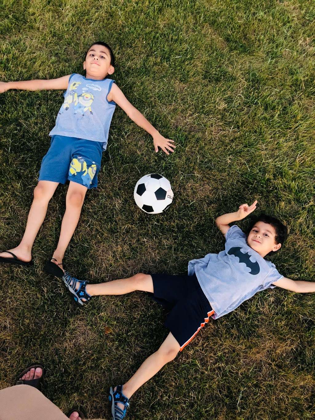 Dominion Trail Elementary School | 44045 Bruceton Mills Ci, Ashburn, VA 20147, USA | Phone: (571) 252-2340