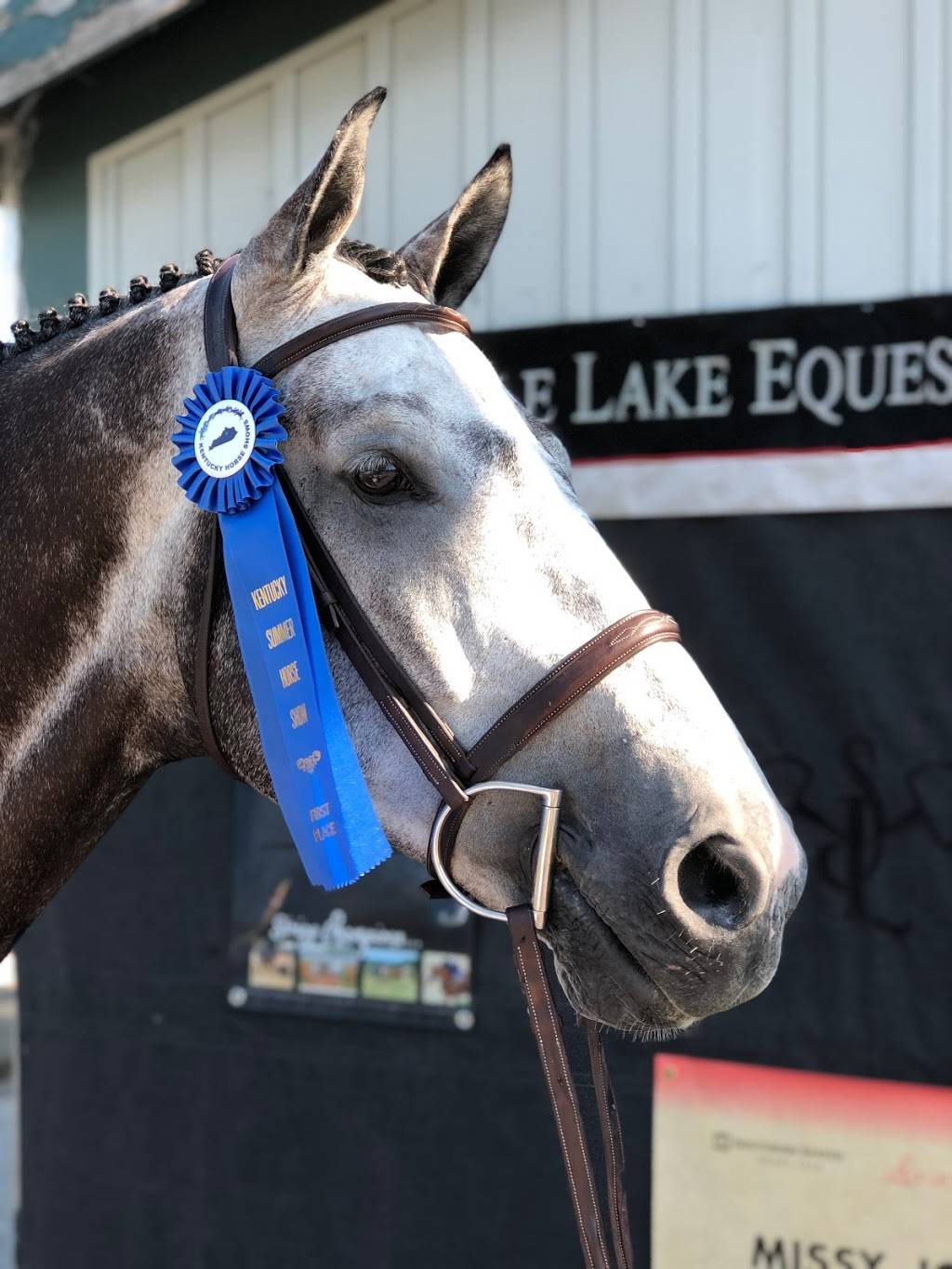 Saddle Lake Equestrian Center | 2369 Nelson Rd, Melbourne, KY 41059, USA | Phone: (859) 635-3773
