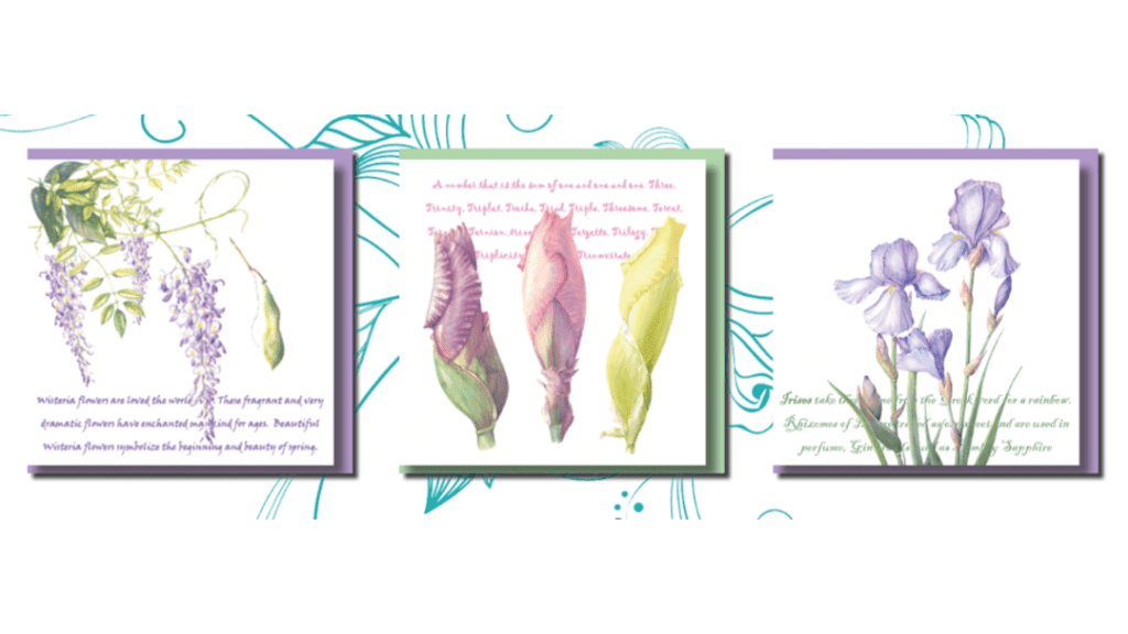 Zaquarella Botanical Greeting Cards | Willow Barn, Mill Hill, Edenbridge TN8 5DB, UK | Phone: 07577 001145